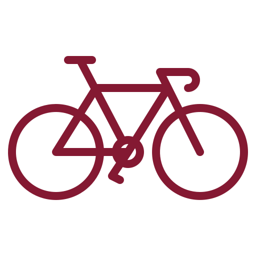 icone_velo